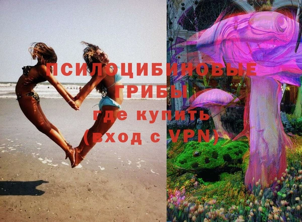 прущие грибы Алзамай