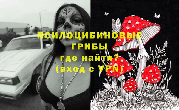 прущие грибы Алзамай