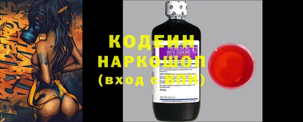 прущие грибы Алзамай