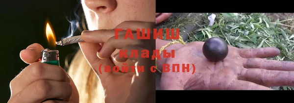 прущие грибы Алзамай