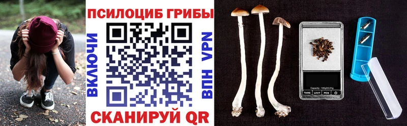 KRAKEN онион Дыгулыбгей Псилоцибиновые грибы Magic Shrooms купить наркотик